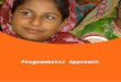 Programmatic approach  - facilitators ws Okt.  2009