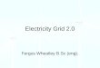 The Electric Grid 2.0 - Fergus Wheatly