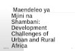 10 Maendeleo Ya Mijini Na Shamba   Urban And Rural Development