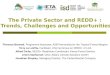 The Private Sector and REDD+ : Trends, Challenges and Opportunities