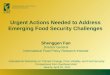 Urgent Actions Needed to Address Emerging Food Security Challenges