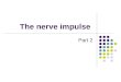 The Nerve Impulse Part 2