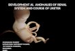 developmental anomalies of renal system