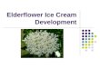 Elderflower  Ice  Cream  Development Presentation