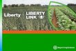 LibertyLink® Seed Trait & Liberty® Herbicide -  Weed Management