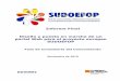 Informe final y puesta en marcha de un portal Web para el proyecto Europeo SUDOEFOP. Fase de Consultoría del Conociemiento