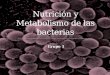 Metabolismo y nutrición de las bacterias