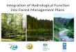 Integration of hydrological function into forest management plans