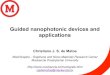Guided nanophotonic devices and applications - Christiano de Matos