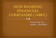 Non Banking Financial Companies ( Nbfc)