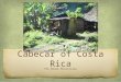 Cabecar of Costa Rica