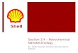 Shell Nano Strategy