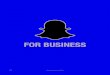 235629204 snapchat-business-deck