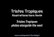 Art house SYB: Tristes Tropiques project - October2010>2011