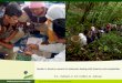 Gender in forestry research in Indonesia: dealing with diversity and complexities