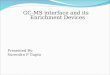 GC-MS Interface With Enrichments Devices