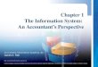 Chapter 1 - The Information System: An Accountant's Perspective