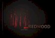 Redwood design identity portfolio   2013