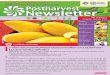 Postharvest Newsletter ปีที่ 11 ฉบับที่ 3 กรกฎาคม-กันยายน 2555