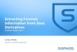 Extracting Forensic Information From Zeus Derivatives