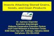 Stored Grain Insect Pests