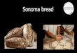 Sonoma bread 20140617