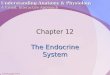 Chapter12 - Endocrine System
