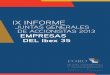 Ix informe-juntas-generales-de-accionistas-2013