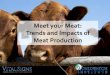 Meet your Meat: Trends and Impact of Meat Production