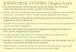 ENDOCRINE SYSTEM: Chapter Goals 1. describe the structure of 