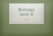 Unit 4 A2 Biology Notes AQA