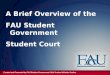 FAU Student Government Judicial Branch Overview
