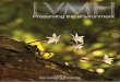 LVMH Preserving Environment