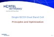 Single BCCH Dual Band Cell JP