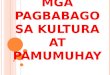 Mga Pagbabago Sa Kultura at Pamumuhay