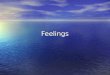5 feelings