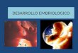 Desarrollo Embriologico 1,2,3 Semana
