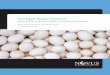 The Egg's Global Footprint: Searching for True Sustainability in Global Egg Production