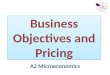 Business Objectives and Pricing