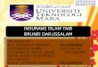 Insurans Islam Taib, Brunei