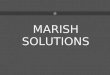 Marish solutions Web Designing Portfolio