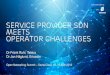 Service Provider SDN Meets Operator Challenges