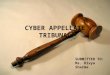 Cyber appellate tribunal