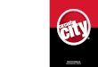 circuit city stores 2008 Annual Report and Form 10-K