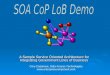SOA CoP Demo Team