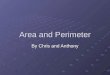 Chris Anthony Area And Perimeter Project