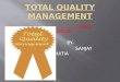 Total Quality Mgt