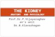 CME: Kidney - Anatomy & Physiology