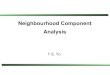 Neighborhood Component Analysis 20071108