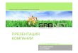 SPBNET: webdev company profile